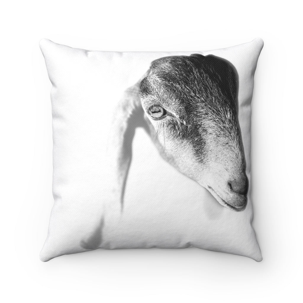 black and white image of baby goat