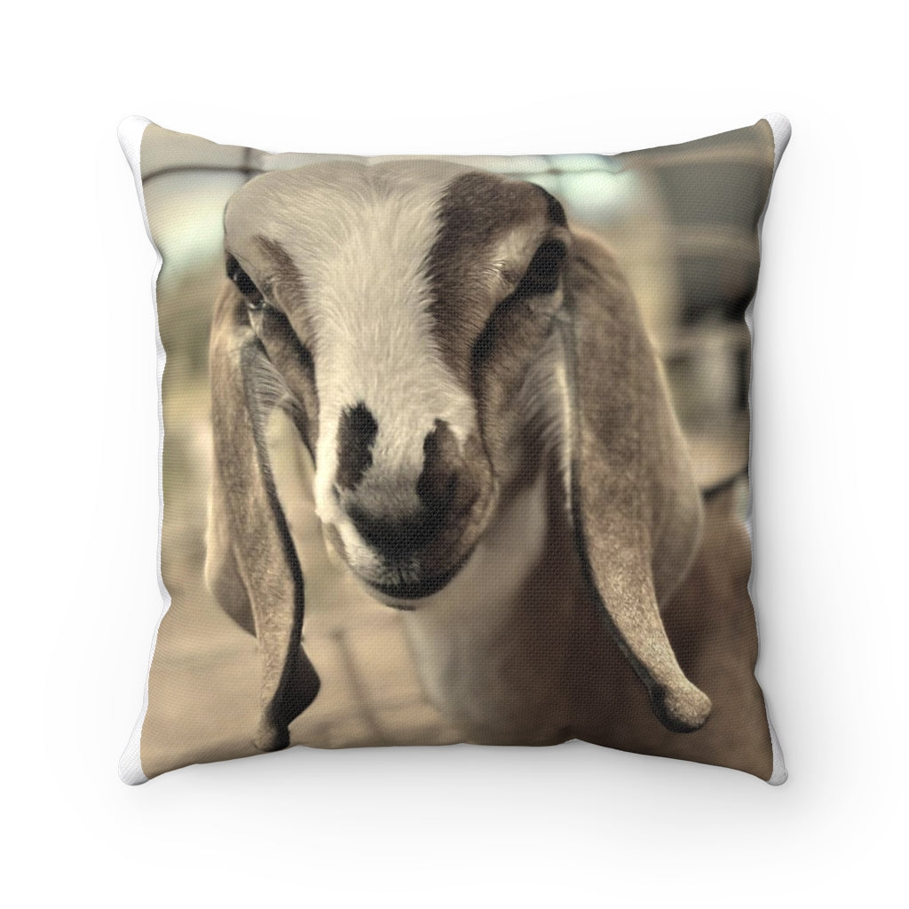 Sepia Baby Goat Square Pillow