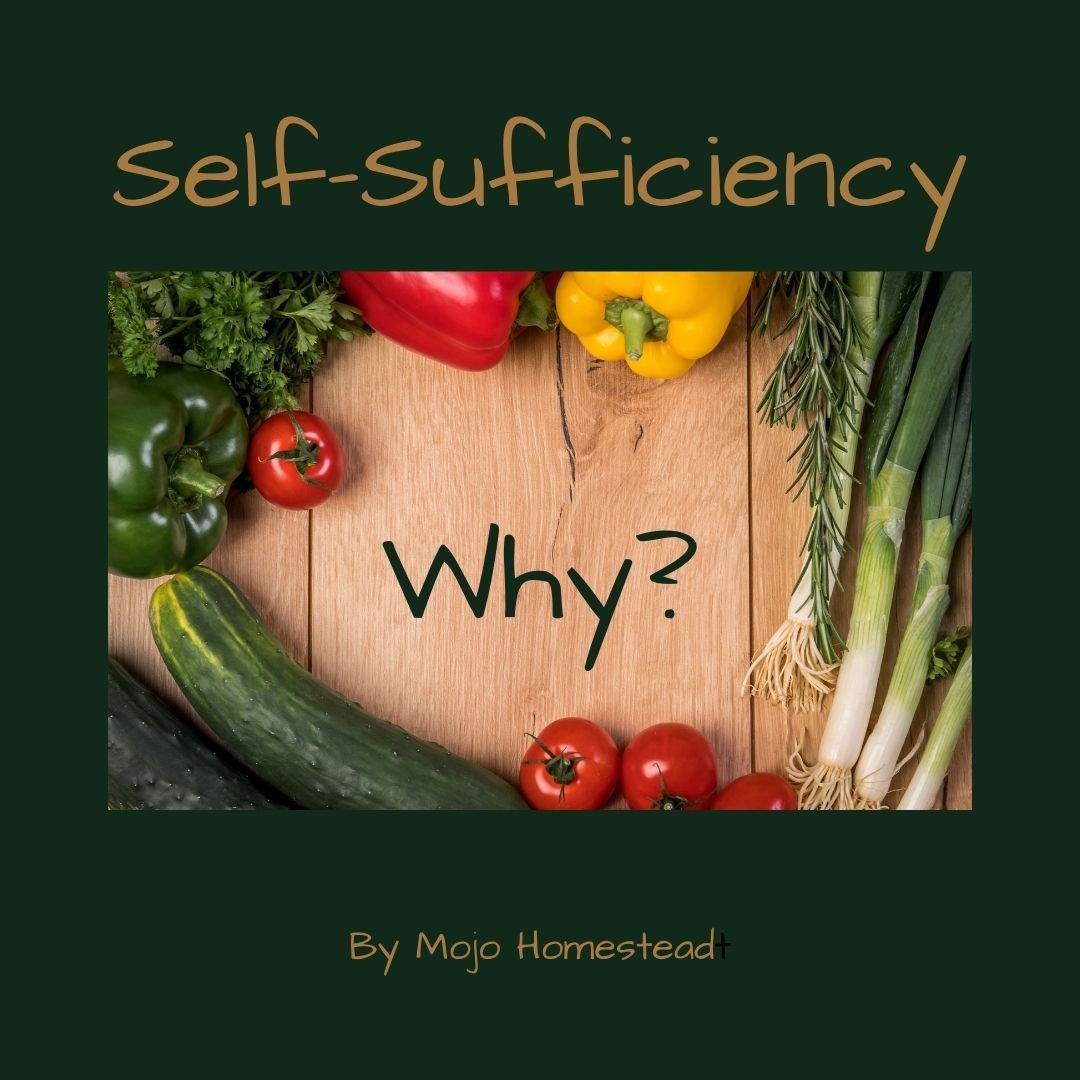 Why Be Self-Sufficient?