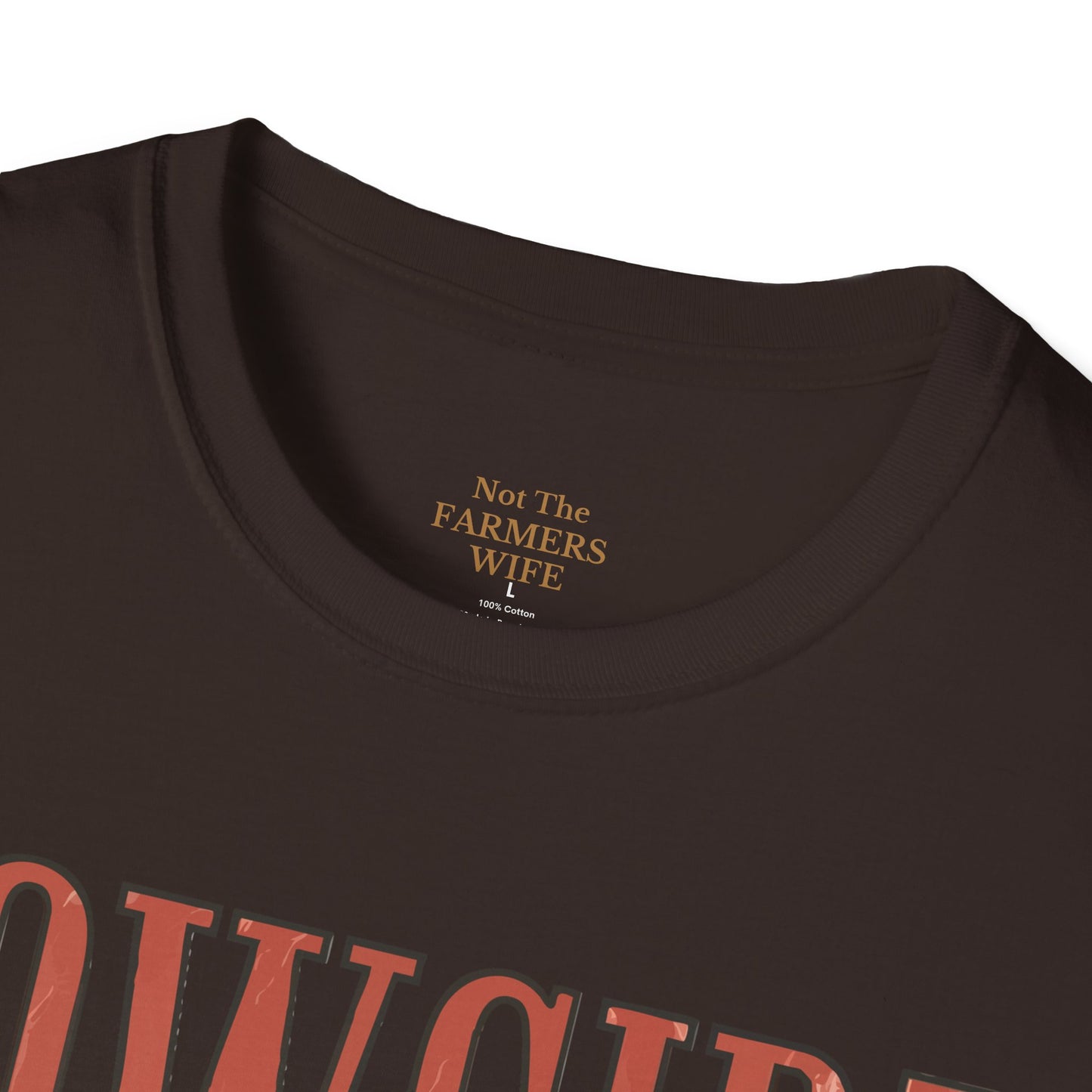 Barbed Wire Bow Cowgirl T-Shirt