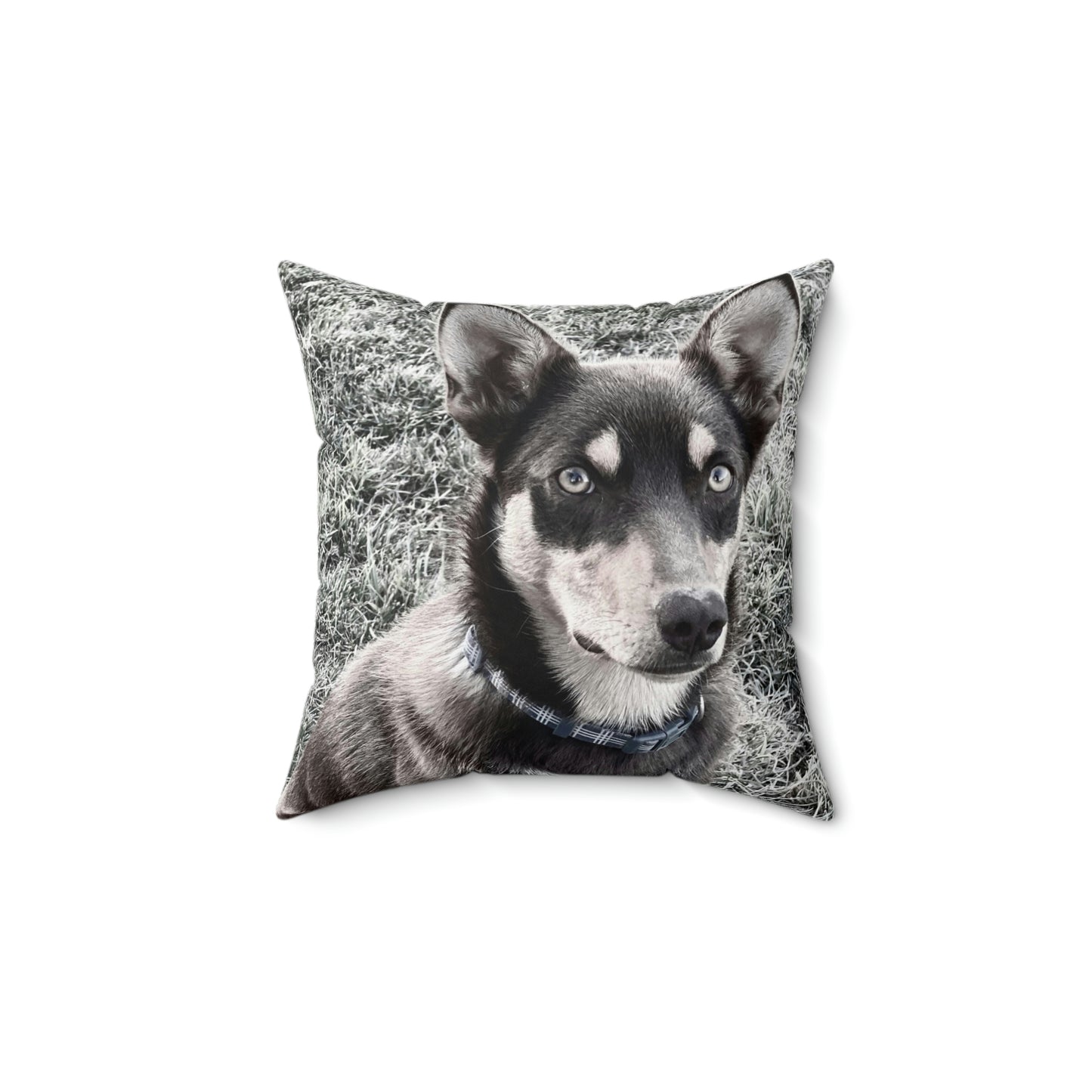 australian kelpie photo cushion cover