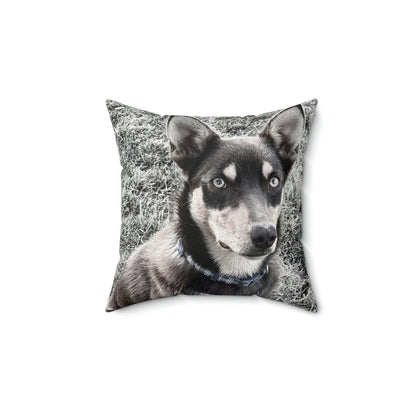 australian kelpie photo cushion cover